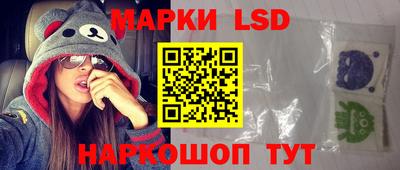 индика Кандалакша