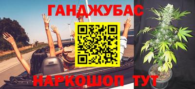 индика Кандалакша