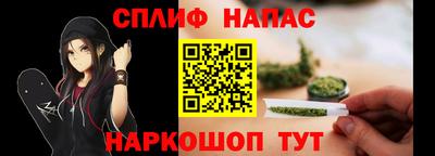 индика Кандалакша