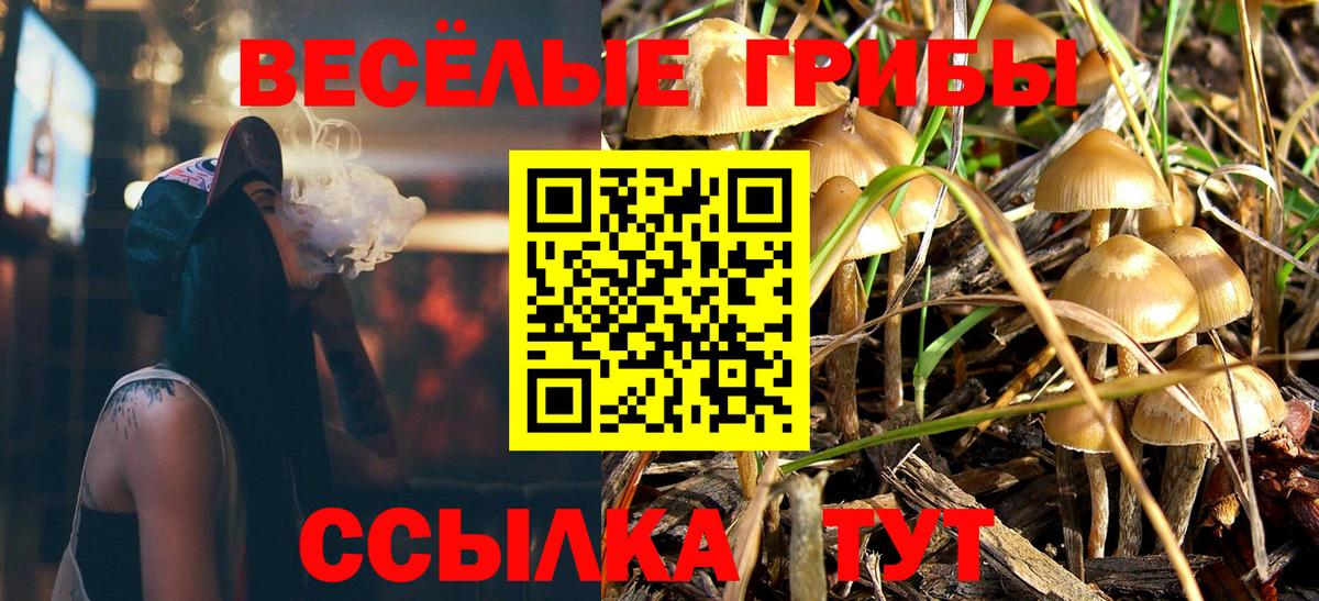 Псилоцибиновые грибы Cubensis  Галлюциногенные грибы Cubensis  Вход с VPN  Петропавловск-Камчатский 